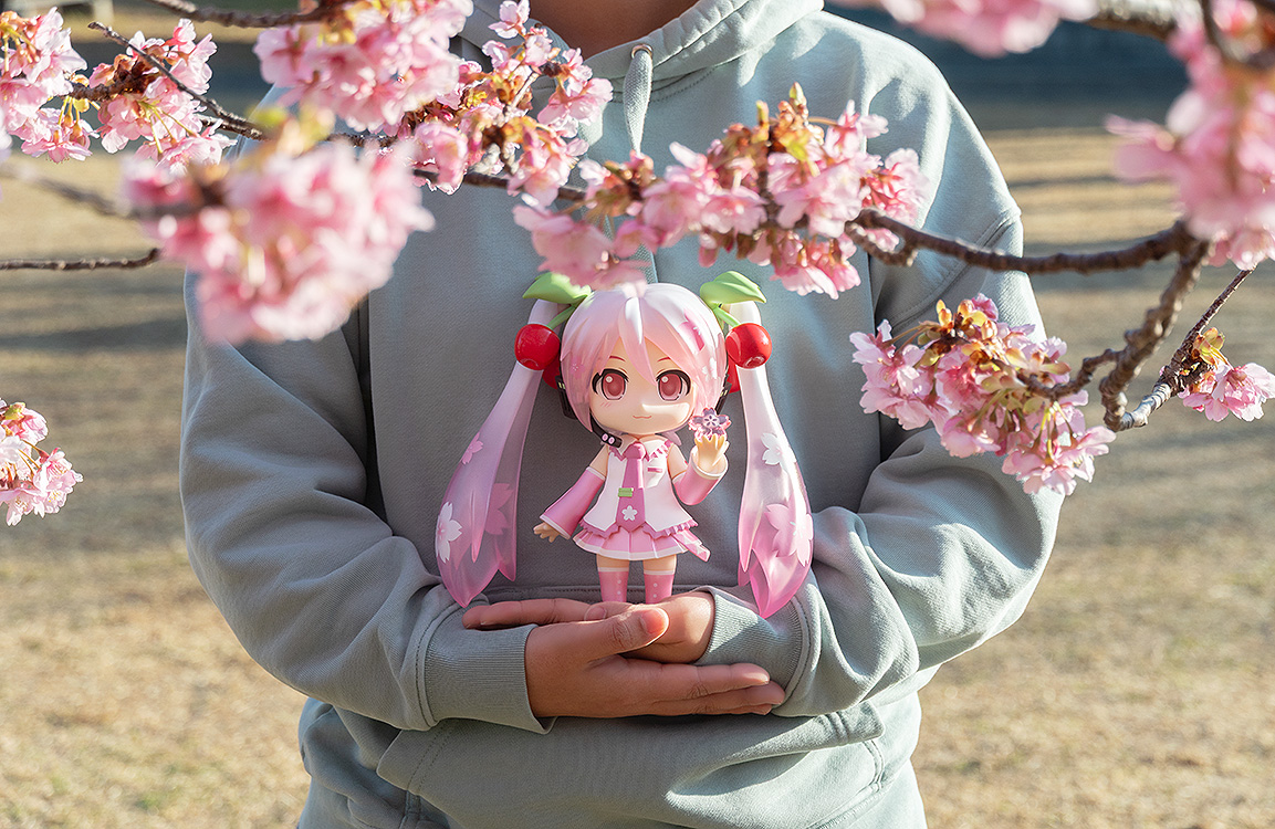 ✨ 先行販売情報 ✨ 🌸ねんどろいどぷらも 桜ミク 🌸ねんどろいどらー