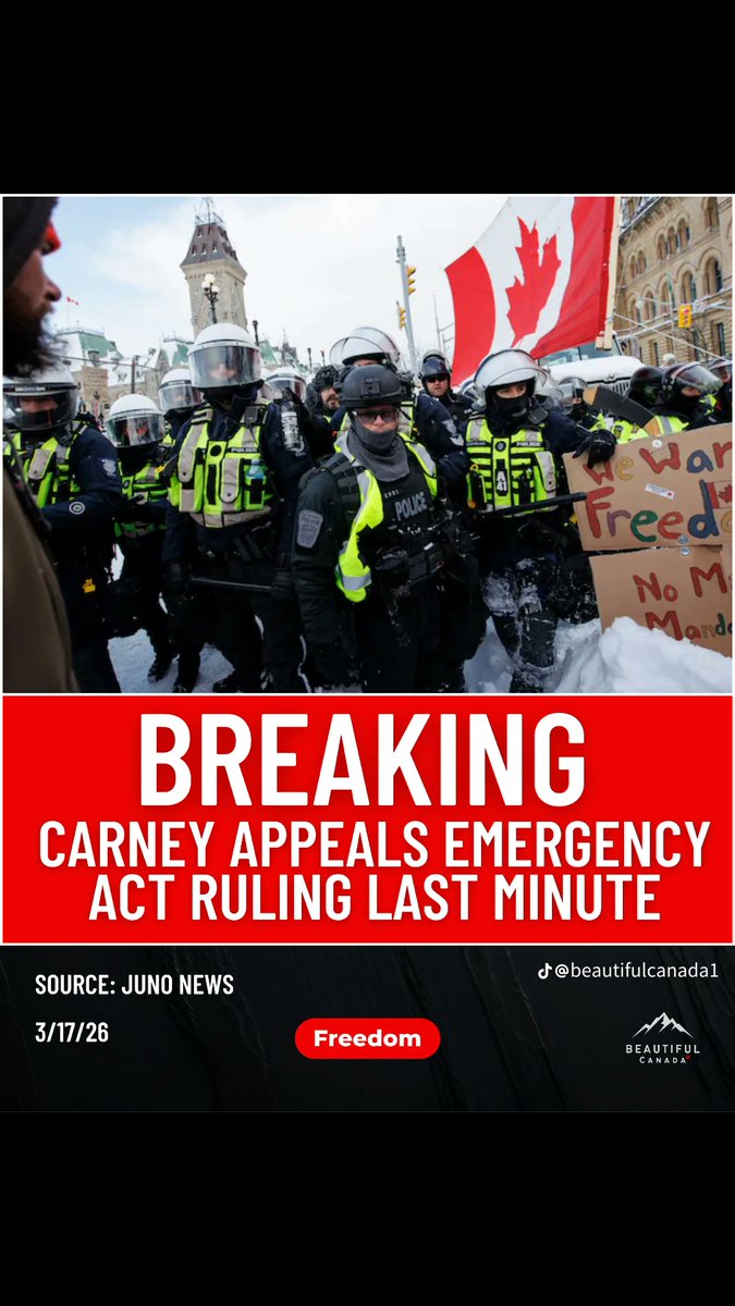 Ivano Defazio 🇨🇦🇮🇹🇺🇸 tweet media