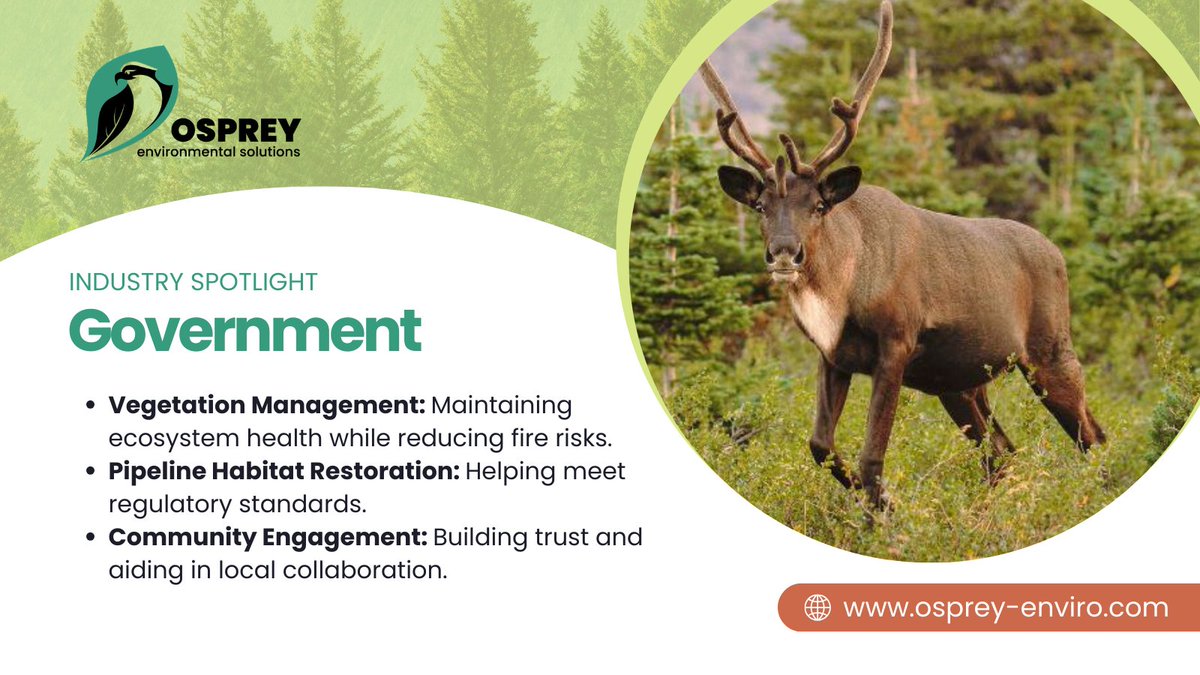 Ospreyenviro's tweet photo. We align with federal and provincial goals to create lasting impacts on the environment and communities.

Explore Osprey : https://t.co/6sf3USOfOx

#Osprey #Silvacom #KSL #GovernmentProjects https://t.co/a62wDqiq3A