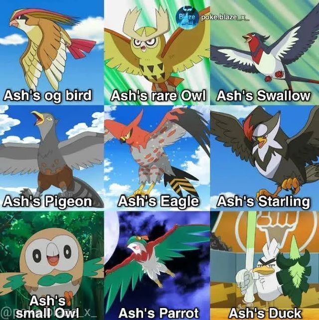 Pokémon Posts tweet media