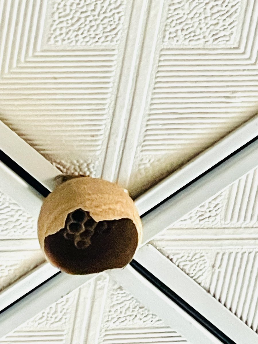 名字和头像同时随便改改 tweet media