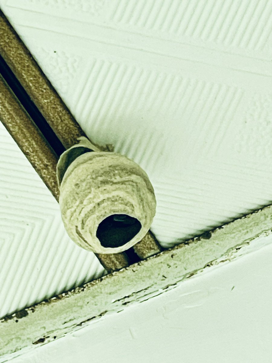 名字和头像同时随便改改 tweet media