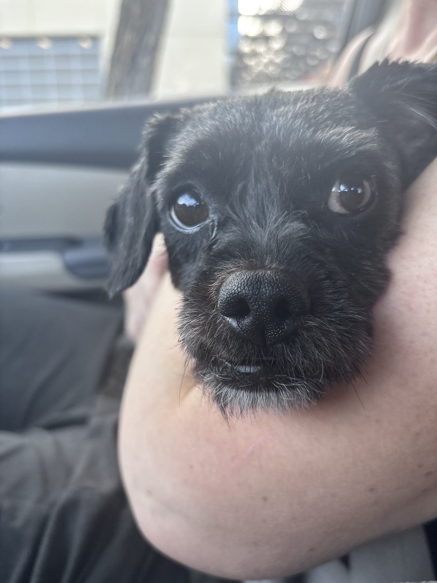 Andy Mack VO tweet media