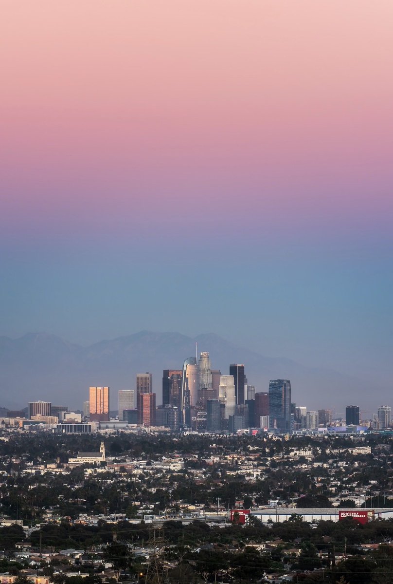 Brandon Yoshizawa tweet media