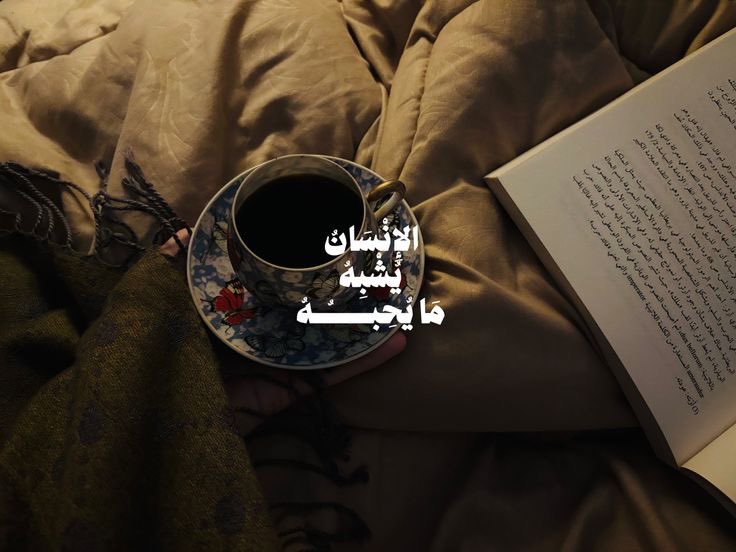 ميان | gap year tweet media