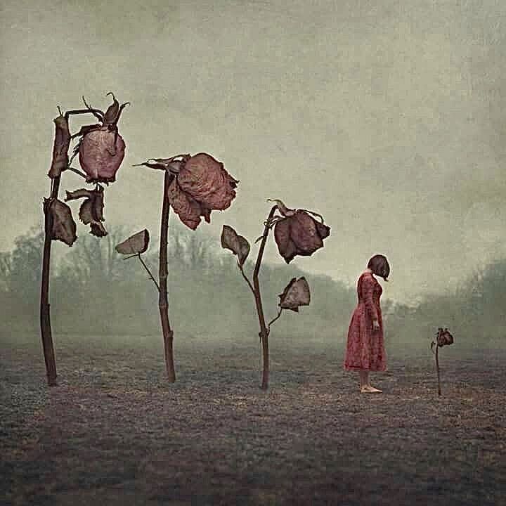 𝕊ʜᴇʀᴅɪʟ 🇵🇰 IK tweet media