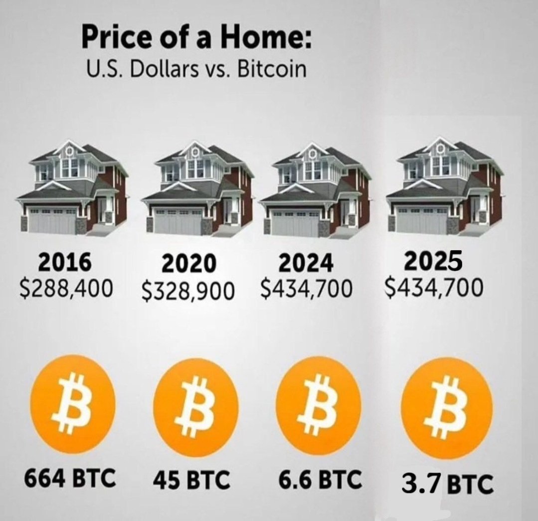 B͎I͎T͎C͎O͎I͎N͎ P͎R͎O͎F͎I͎T͎ 🌟 P͎R͎O͎P͎H͎E͎T͎ tweet media