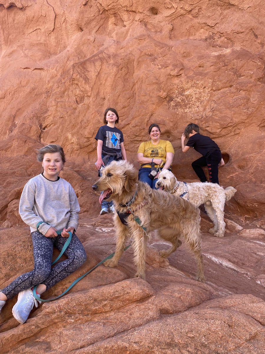 Aaron Thompson 🎥 tweet media