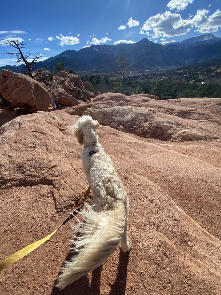 Aaron Thompson 🎥 tweet media