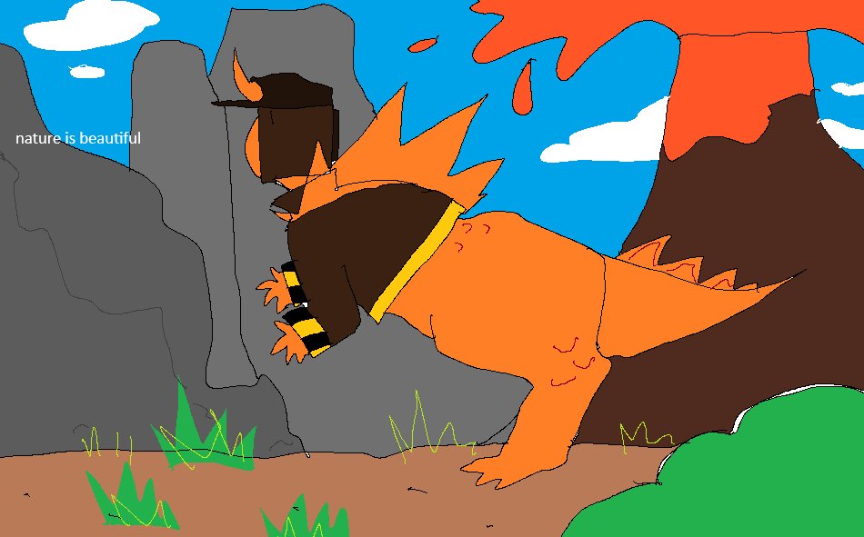 Daily matador tweet media