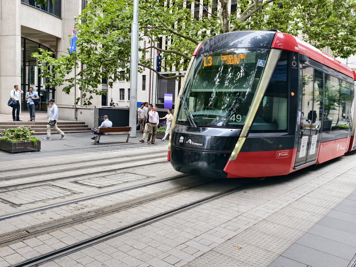 WanderingLach 🌏✈️🏈🏏🏉 tweet media