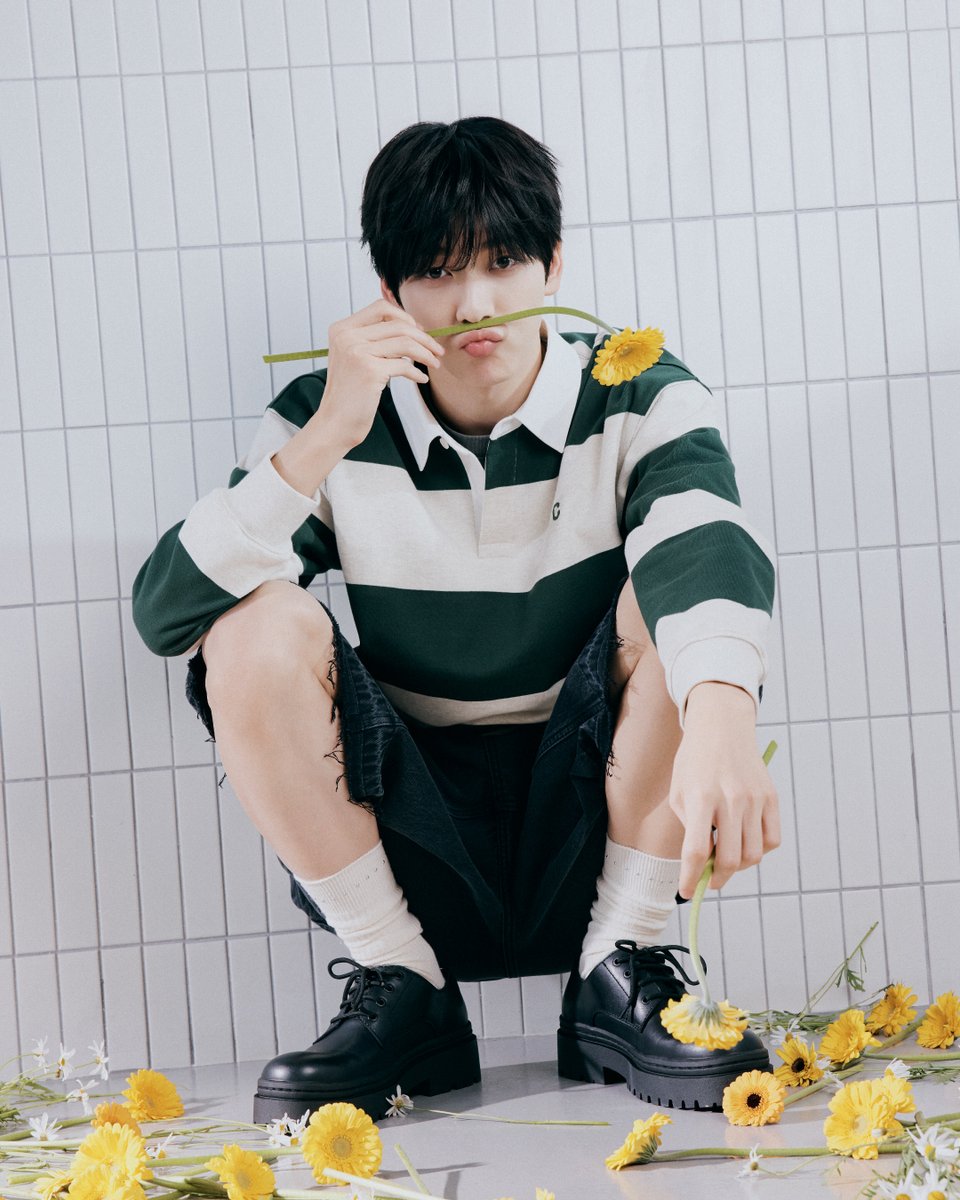 커버낫 (covernat) tweet media