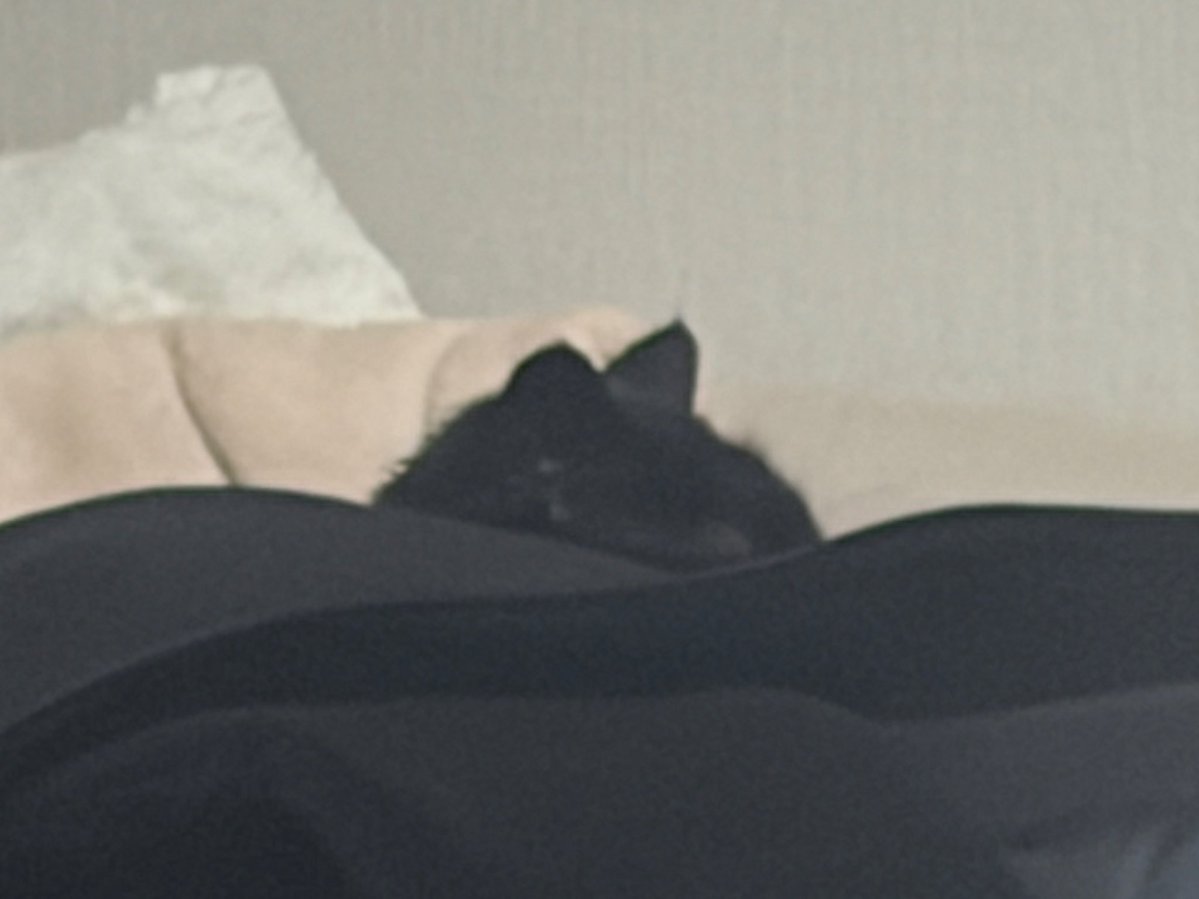 제로 콜라🥤 tweet media