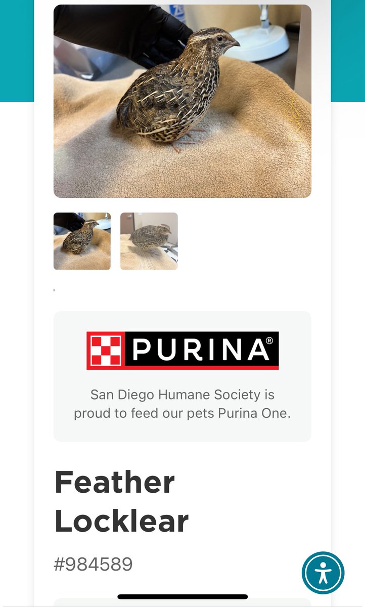 Larry and friends 🥔 tweet media