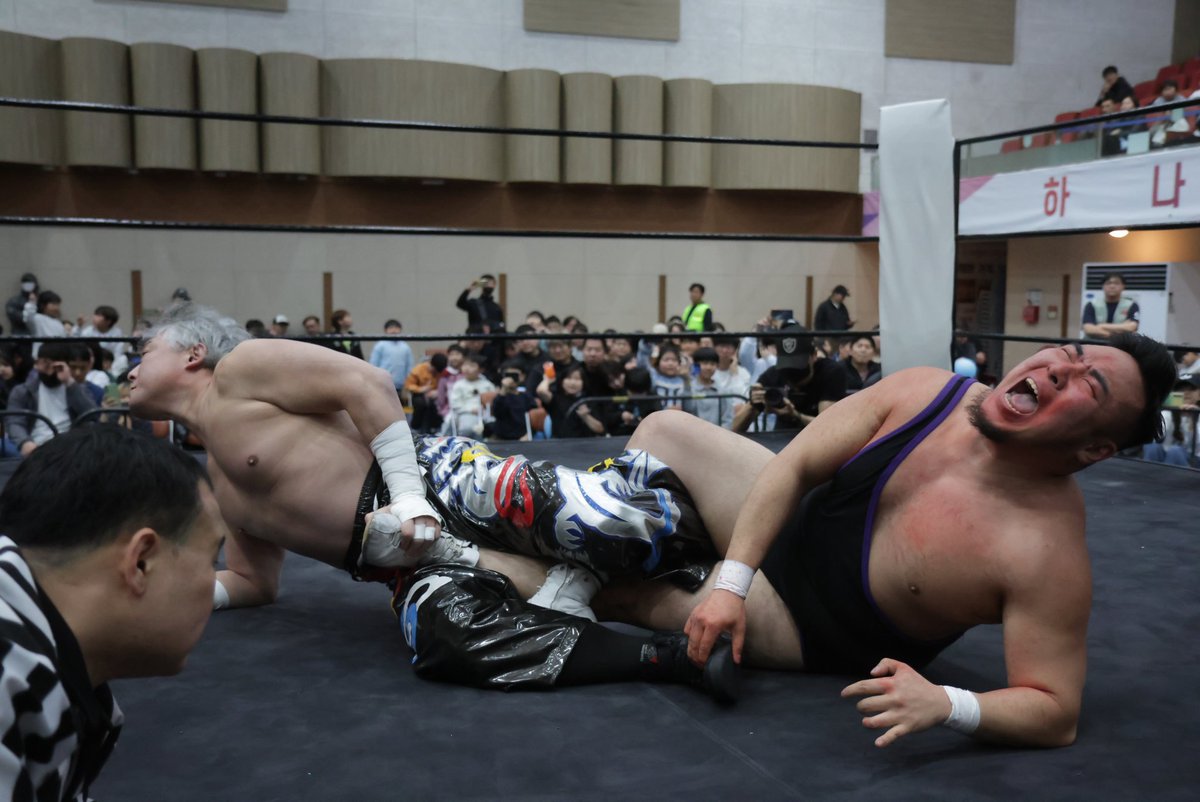 HaDaOn(河打音/하다온) tweet media