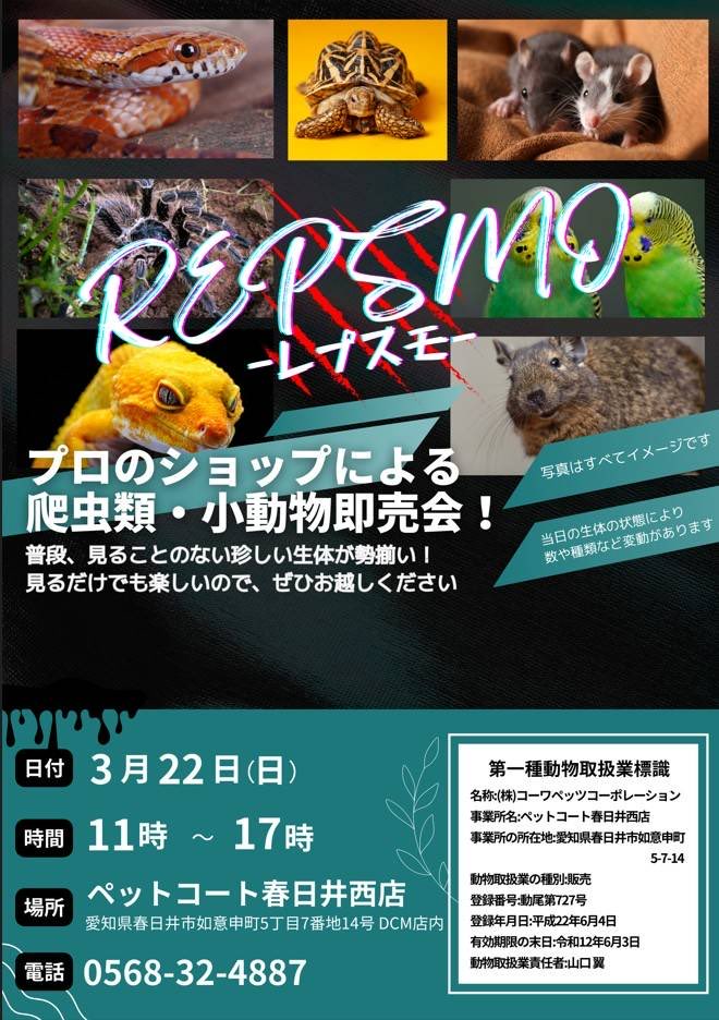 スケール tweet media