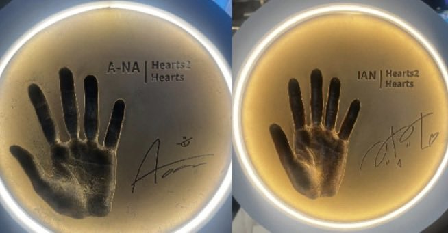 투숭이   손크기차이느끼실분