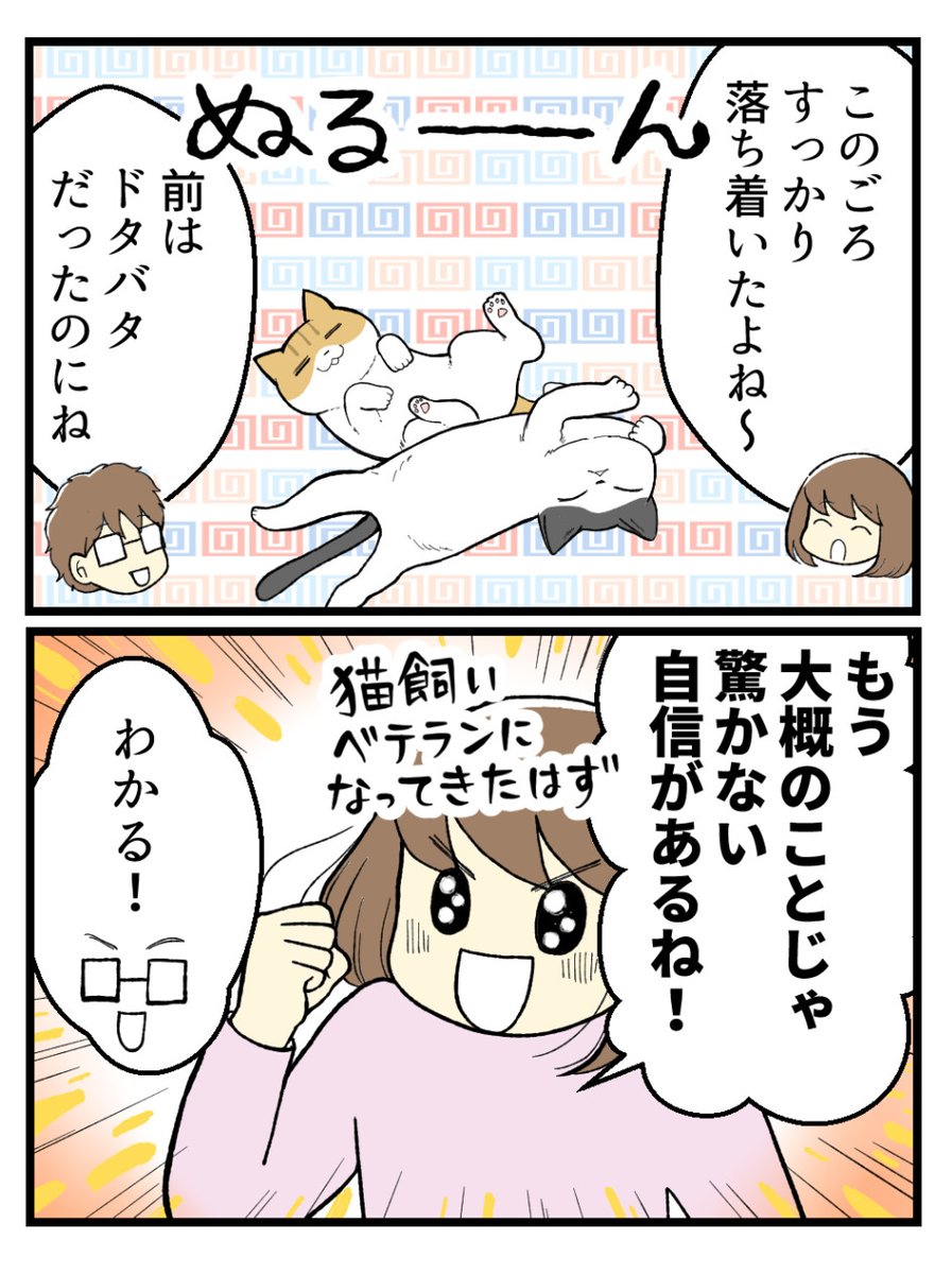 (1/2) 