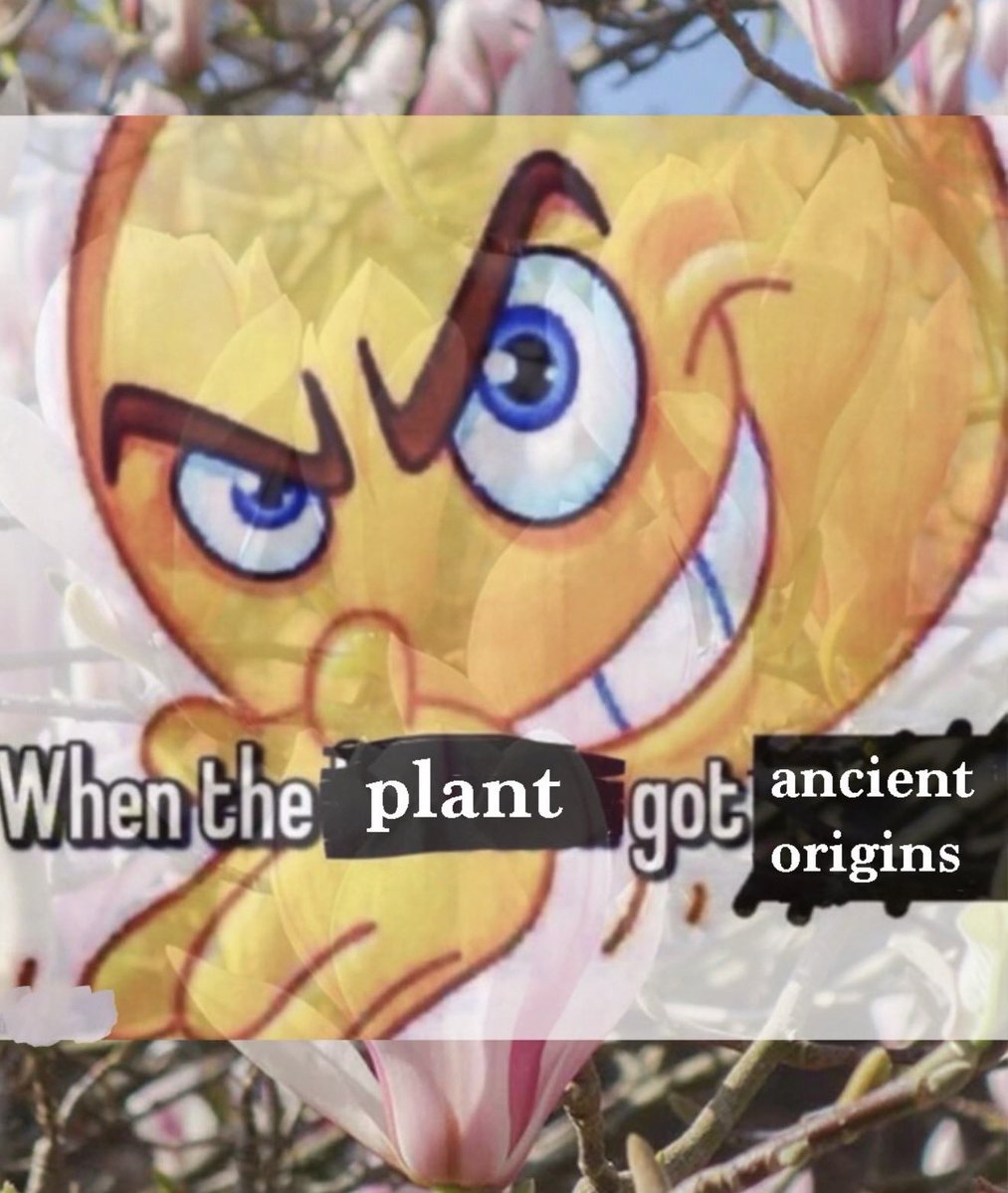 The Fourth Way tweet media