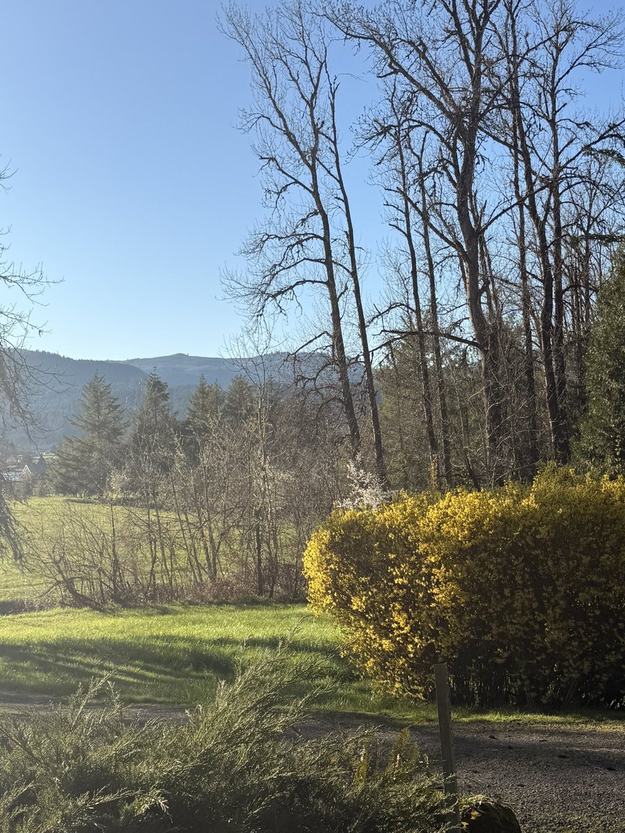 Mars 🌿 tweet media