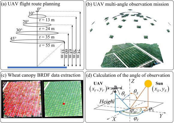 PPhenomics's tweet photo. Multi-angular UAV boosts wheat canopy retrieval: LAI R² 0.59 vs 0.38 nadir-only. Kernel-driven BRDF + CNN transfer learning capture anisotropy for precision breeding. #TransferLearning #CropModeling
Details: https://t.co/umChl8I2OO https://t.co/Rj3gJ3swRu