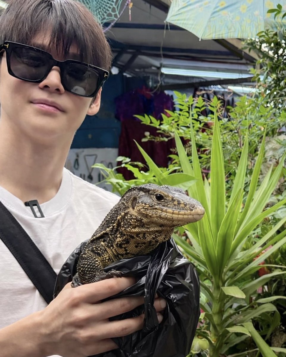 ️️ؘ tweet media