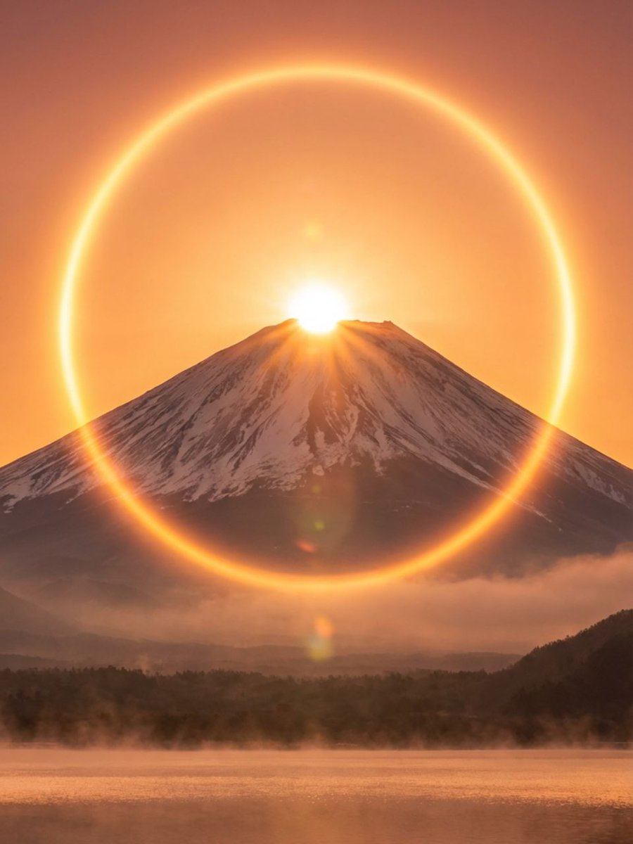 アリサ✨天使の引き寄せ占い師 tweet media