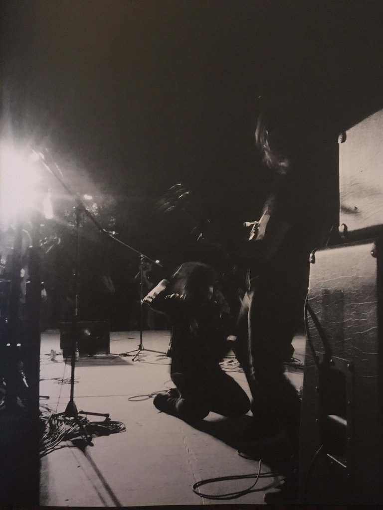 DISIDENTE tweet media