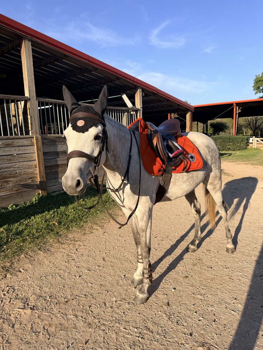 Underworld Arabians tweet media