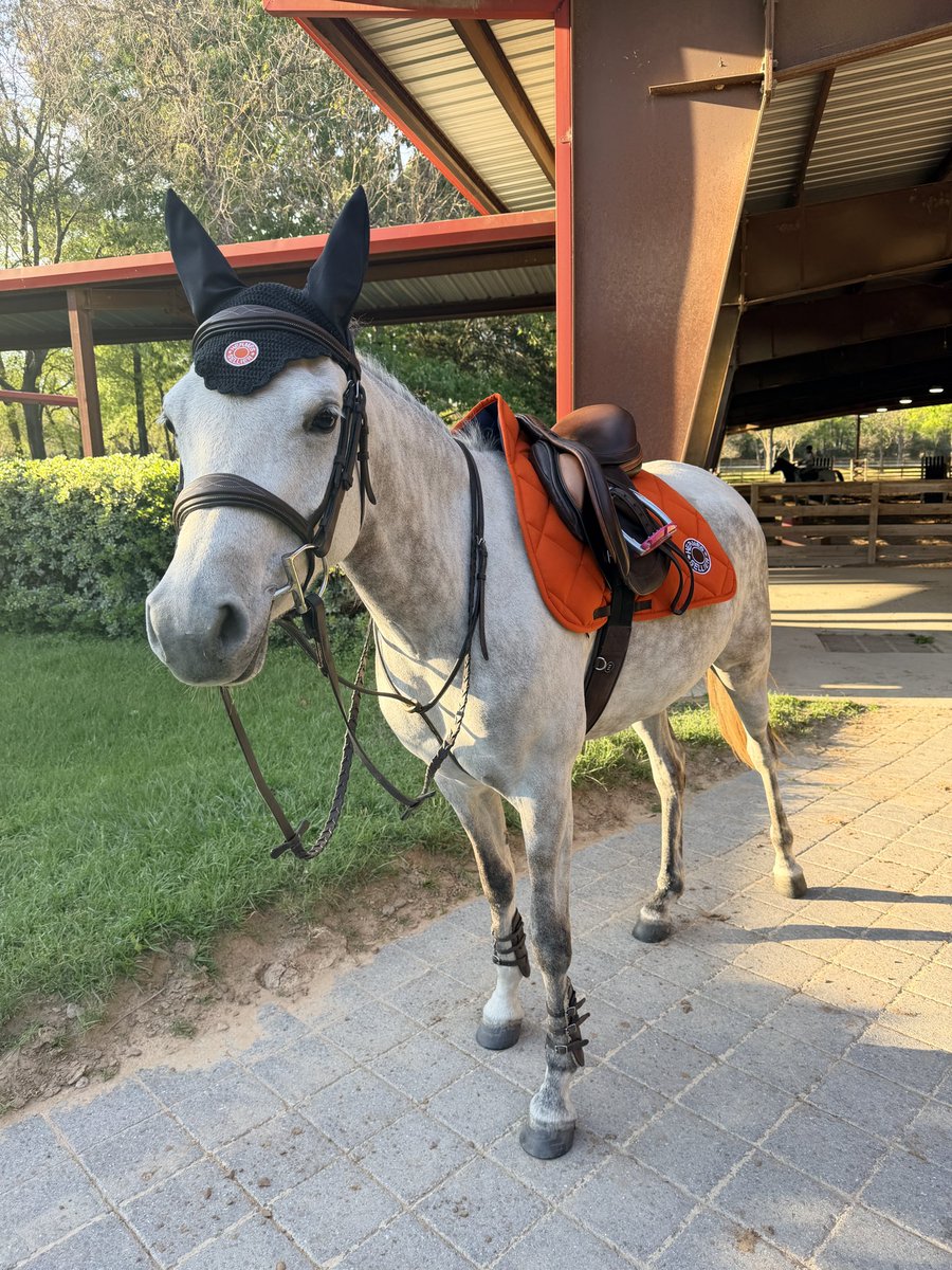 Underworld Arabians tweet media