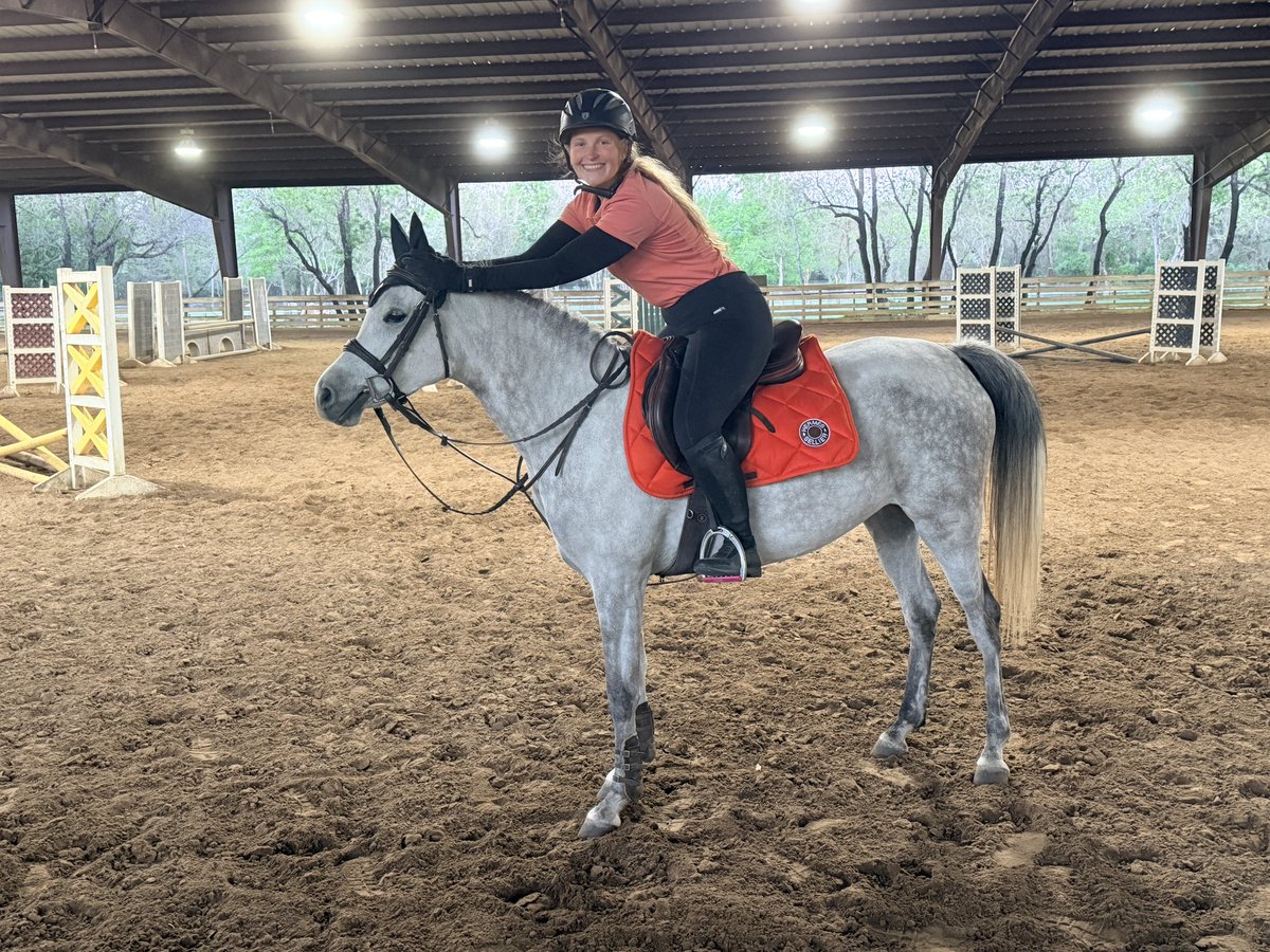 Underworld Arabians tweet media