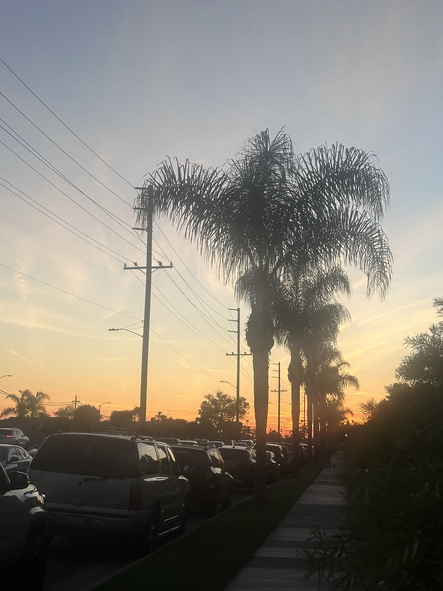 NKaravedas's tweet image. After dinner walk is ALWAYS worth it 😎🌴🙌🏽 #GetOutside #MovementIsMedicine #HB