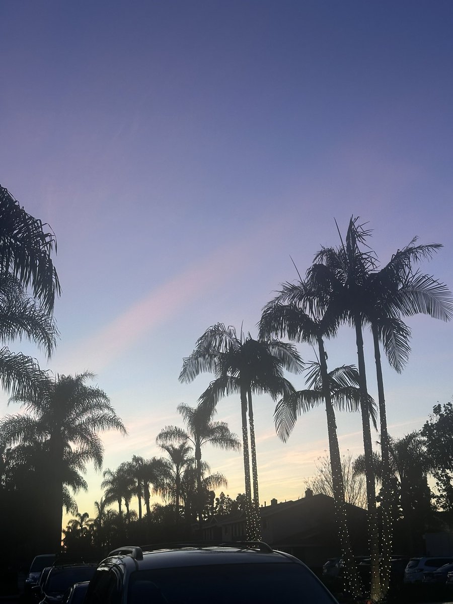 NKaravedas's tweet image. After dinner walk is ALWAYS worth it 😎🌴🙌🏽 #GetOutside #MovementIsMedicine #HB