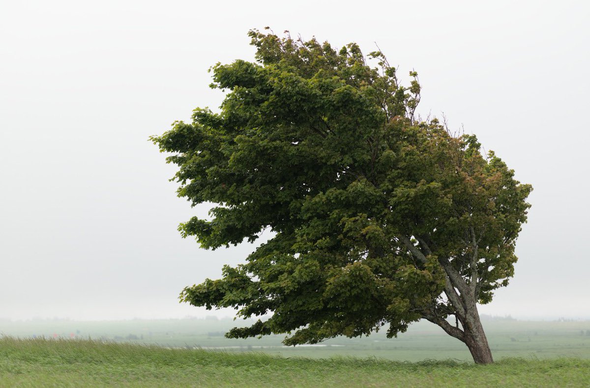 مصرع الشمس tweet media