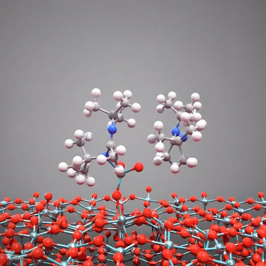 NVIDIA Asia Pacific tweet media