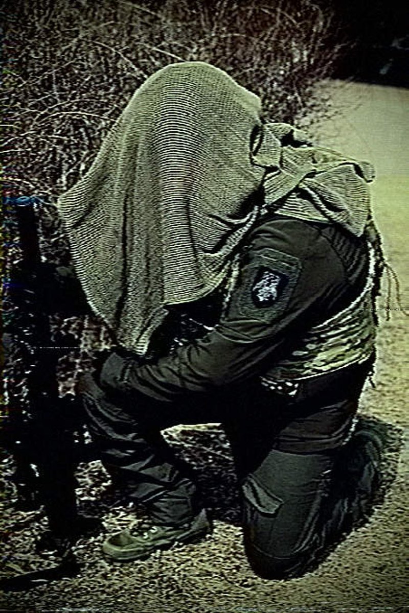 하서/5코,5플액 양일 tweet media