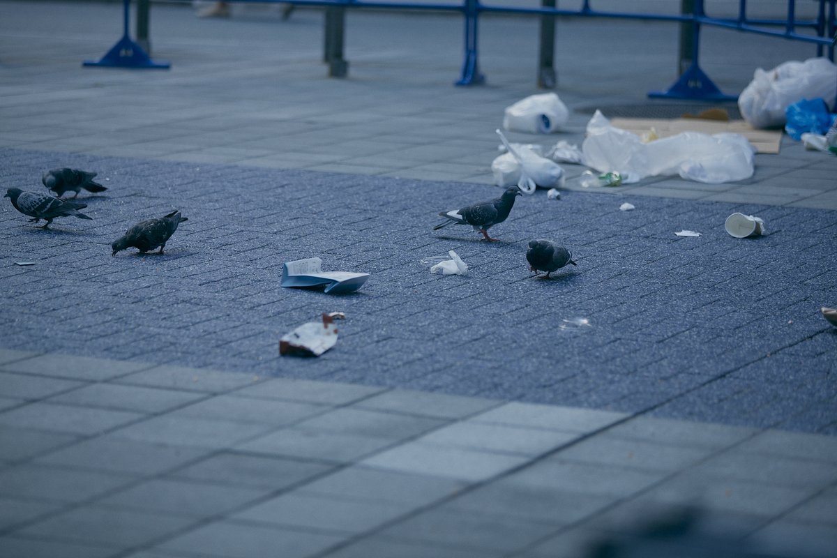 映画『炎上』絶賛公開中 tweet media