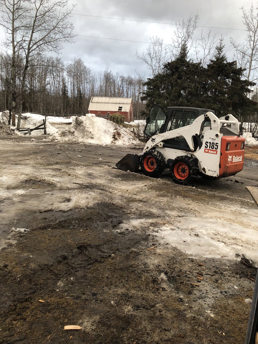 Carolyn in Alberta tweet media