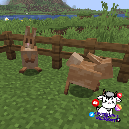 WildGoat tweet media