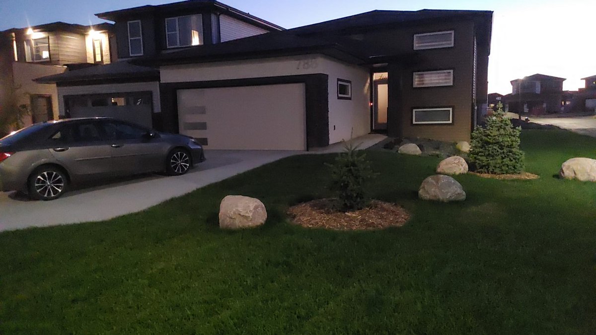 Olamilekan A.🇨🇦 🇳🇬 A victim of Nigeria** tweet media