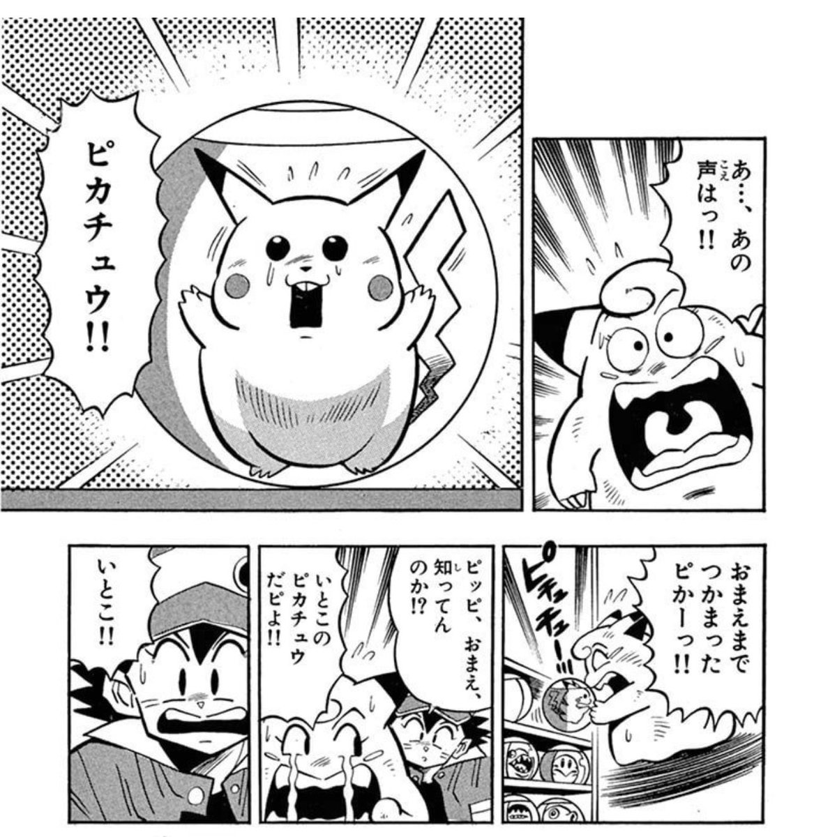 よっちー🐶 tweet media