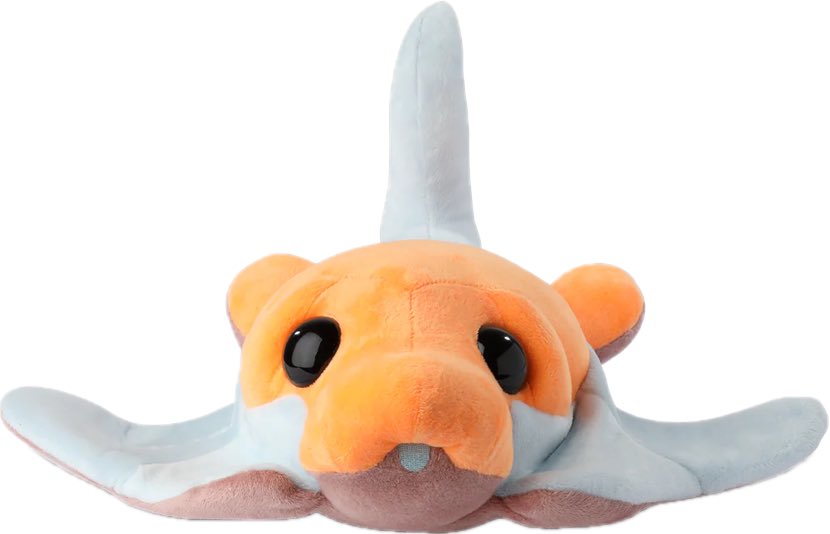 Warre_beans tweet media