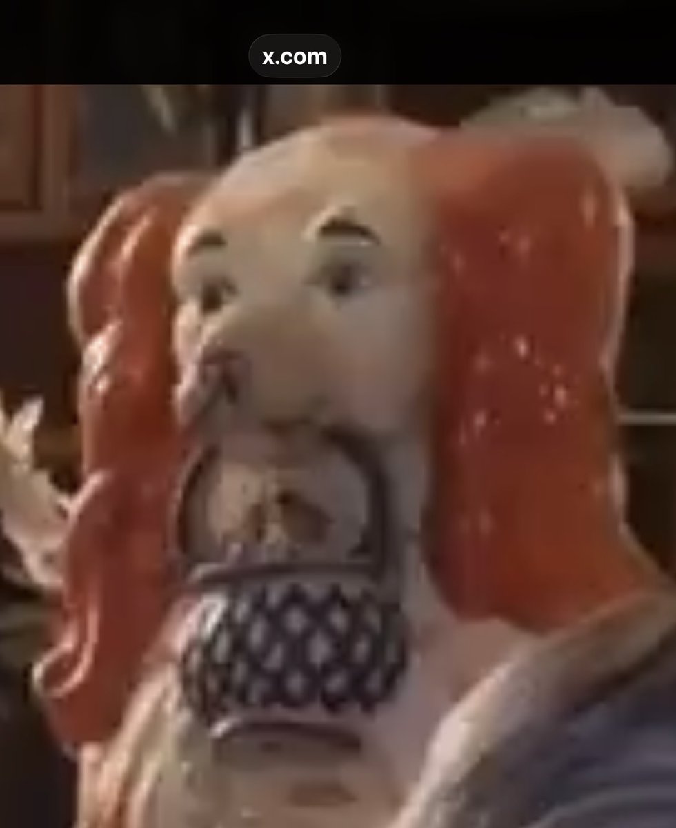 Jane Doe tweet media