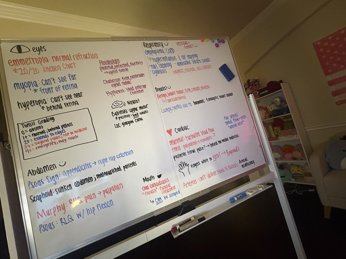 Mini 🎀 tweet media