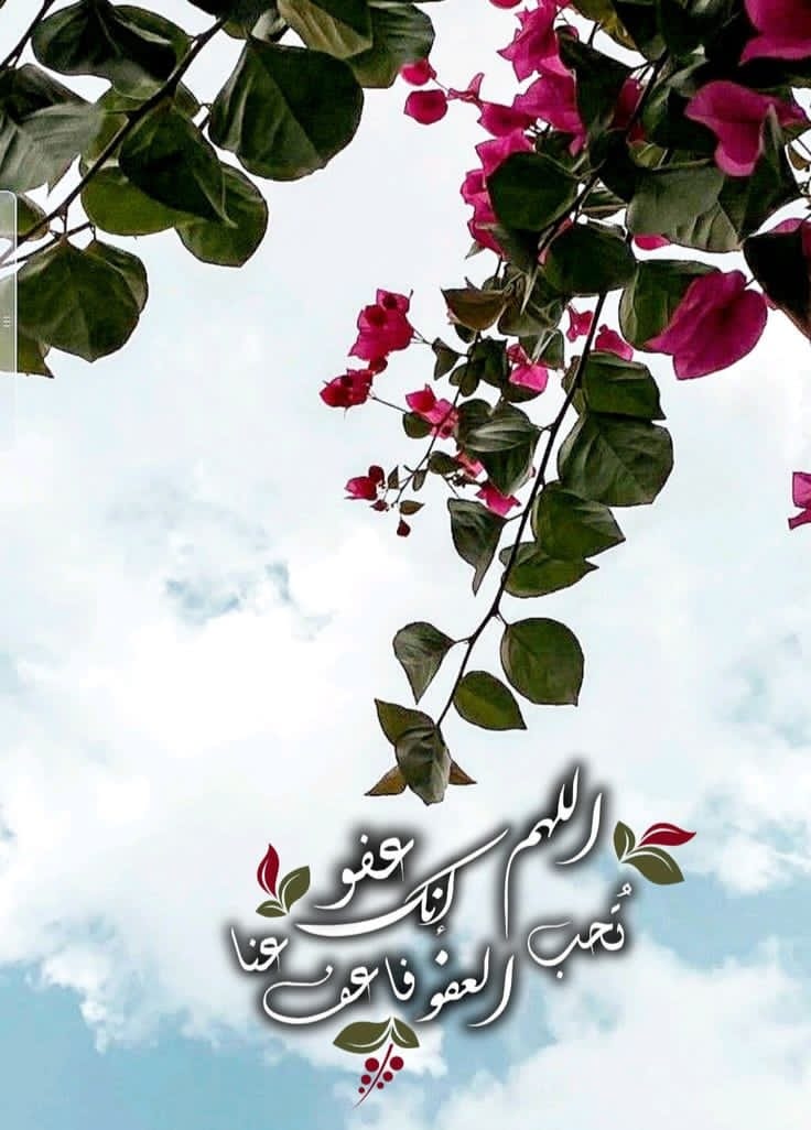 اللَهّــــــمَ🤲🏻 آمـيـن
لكل دعوة رُفِعَت برجاءٍ إليك، لكل أُمنية لم تجد لها طريقًا إلا بابك، لكل أمرٍ سُلِّمَ بيقينٍ إليك، لكل أملٍ عُلِّق بك، فإنّك السميع القريب، تُجِيب دعوة الداعِ إذا دعاك، وإنّك الكريم الوهّاب، تُعطِي وعطاؤك لا حَدّ له، وإنّك الرحيم ورحمتك وسعَت كل شيء.