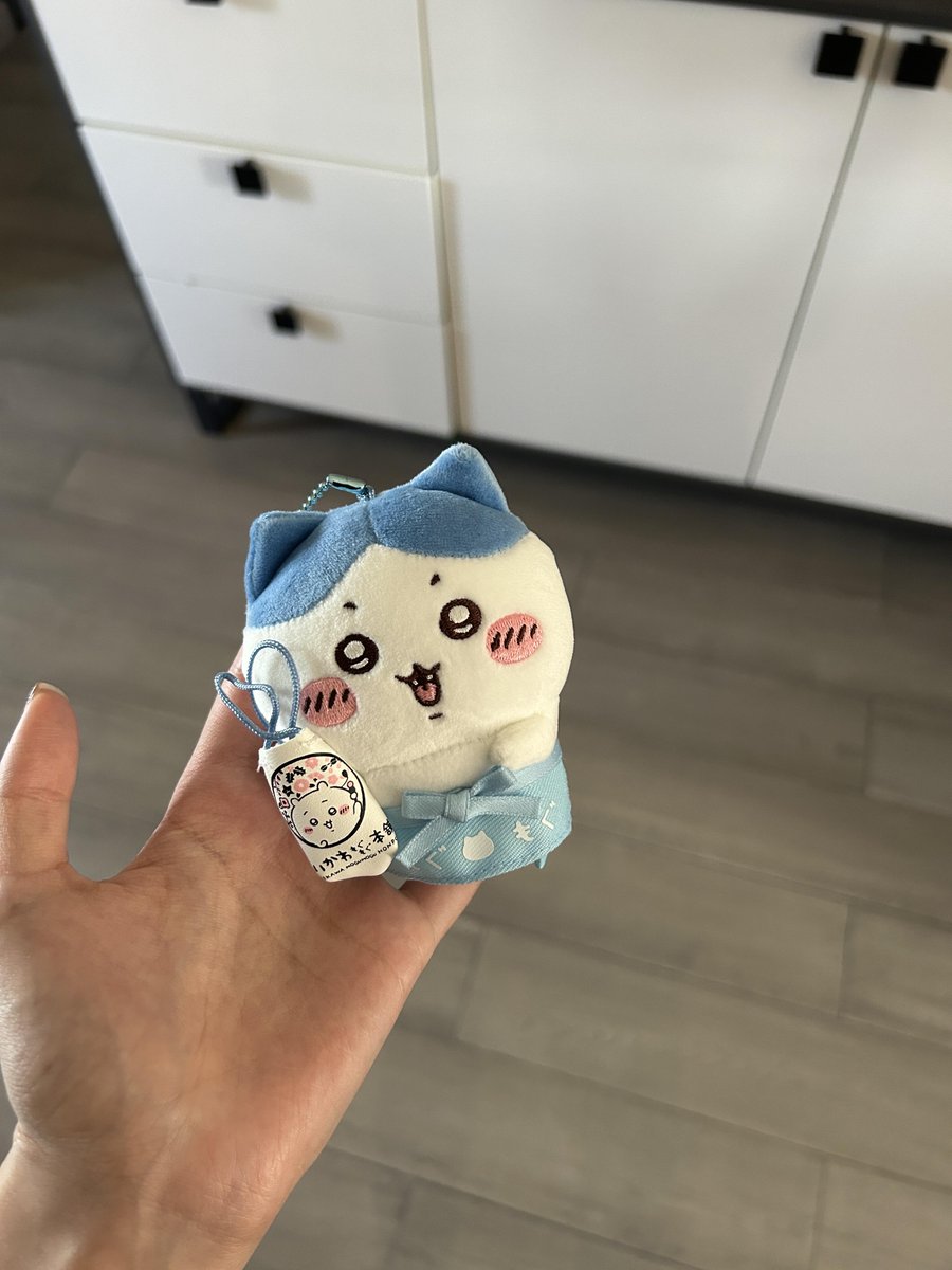 JMX_informatica's tweet photo. 最初のハチちゃん https://t.co/FU39Et5nP1
