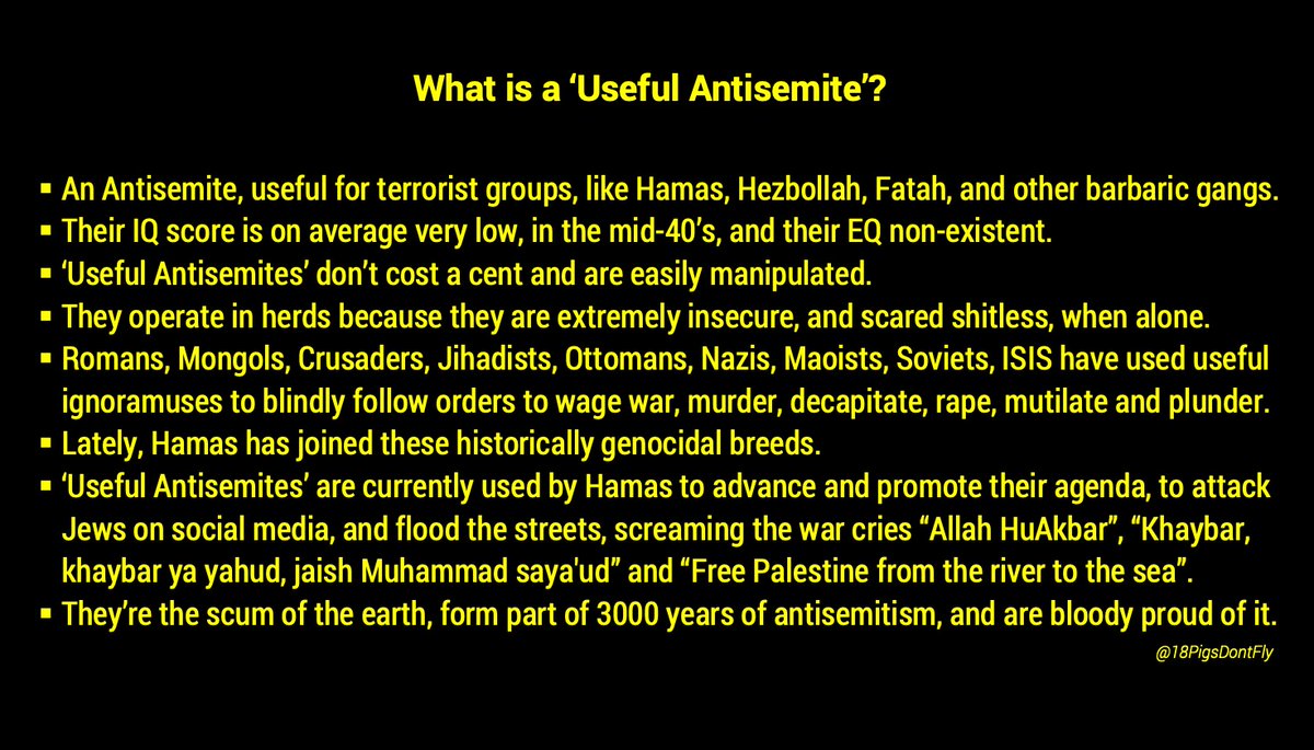 CSM5🇨🇦🇺🇲🇮🇱 tweet media