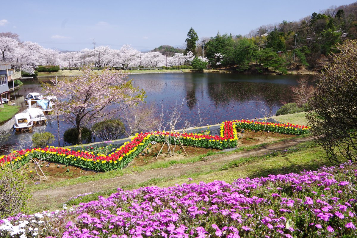 janohana3013's tweet photo. 📸春のフォトスポット🌸

蛇の鼻には
桜を背景に写真を楽しめる
フォトスポットがたくさんあります✨

庭園散策をしながら、撮影スポットを探して
春の一枚を撮影してみてください📷

2026も蛇の鼻フォトコンテスト開催予定です！
詳細は、後日HPで公開予定です💨

みなさんの素敵な写真の応募をお待ちしています😆

#蛇の鼻
#本宮
#桜フォト
#春のおでかけ
#フォトコンテスト
#福島に行こう
#ふくしまDC