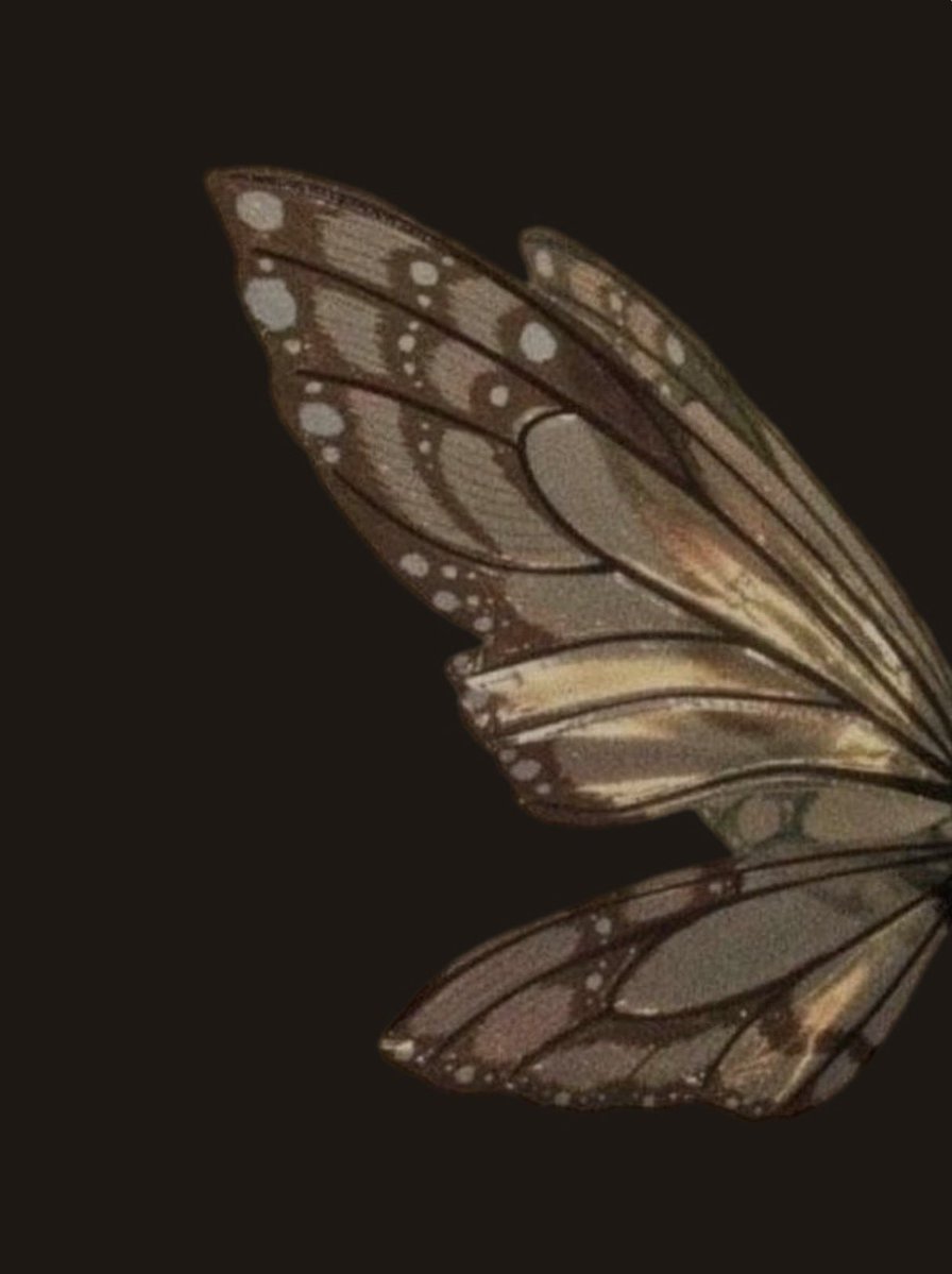 laufeymemez tweet media