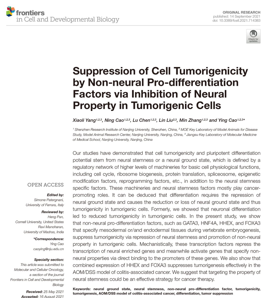 Ying Cao tweet media